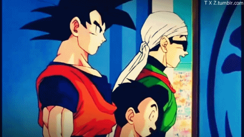 photoset dragon ball z