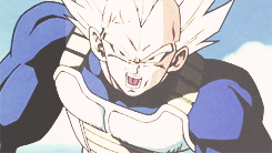 dragon ball z dbz vegeta