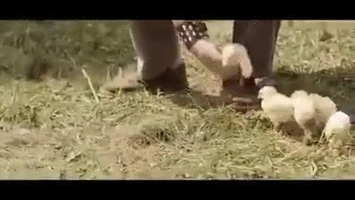 car garage intelligent