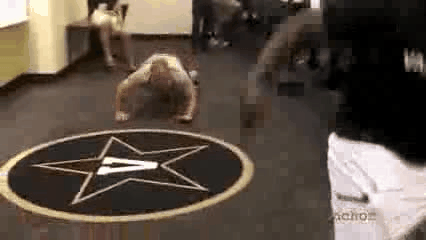 lost coach lettermen