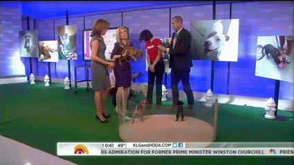 nbc today show kathie lee gifford