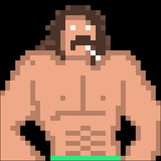 hulk hogan rick rude iron sheik