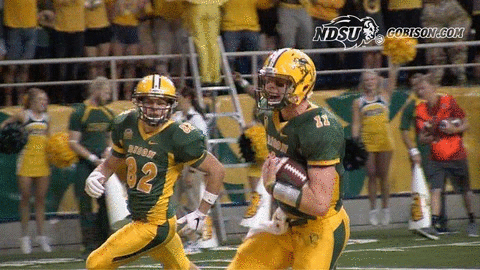 ndsuathletics bison ndsu north dakota state