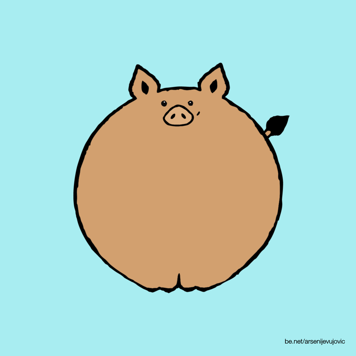 animation pig wild