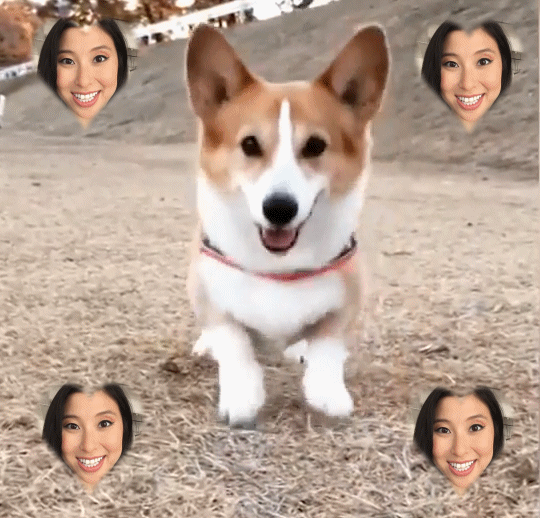 geekandsundry corgi erika ishii