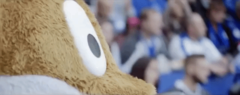 lcfc epl leicester city fc