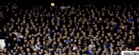 lcfc epl leicester city fc