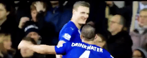 lcfc epl leicester city fc