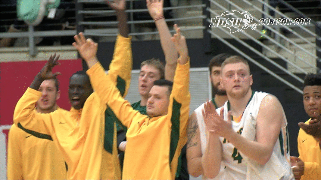 ndsuathletics ndsu basketball bison
