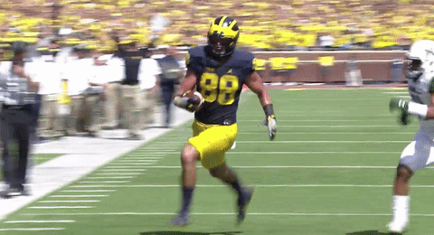 umichathletics