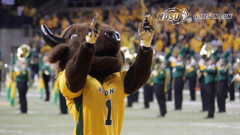 ndsuathletics bison ndsu north dakota state