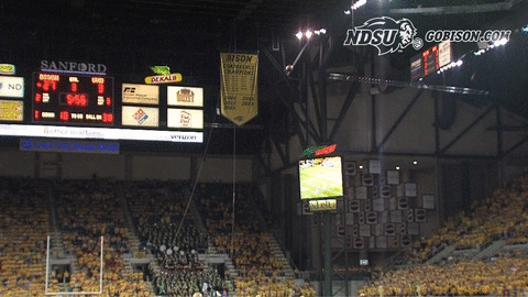 ndsuathletics bison ndsu north dakota state