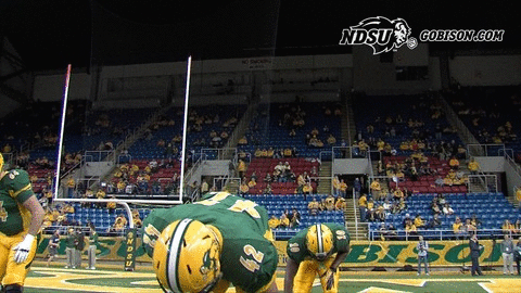 ndsuathletics bison ndsu north dakota state