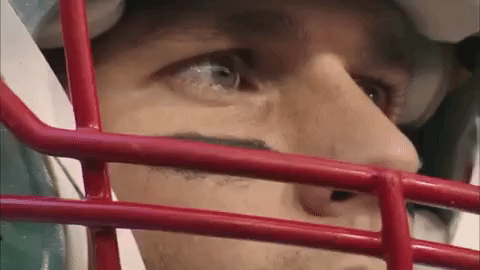 football nfl new england patriots