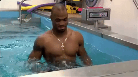 nfl minnesota vikings adrian peterson