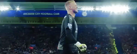 lcfc epl leicester city fc