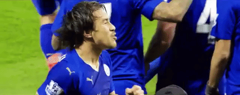 lcfc epl leicester city fc