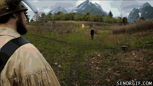 cheezburger video games glitch