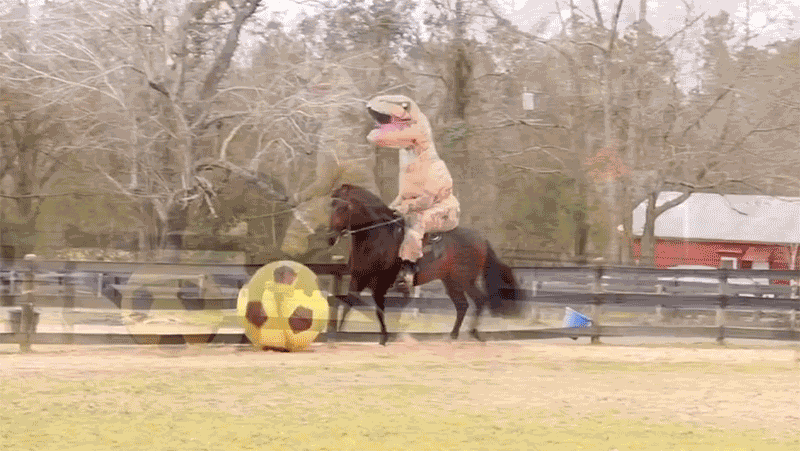 football horse dinosaur