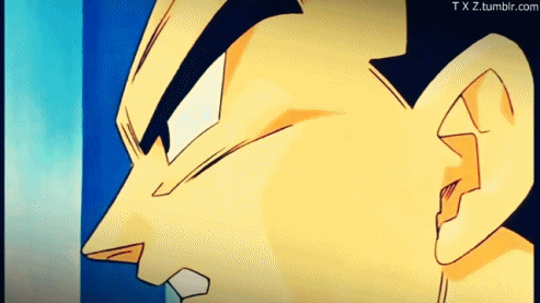 photoset dragon ball z