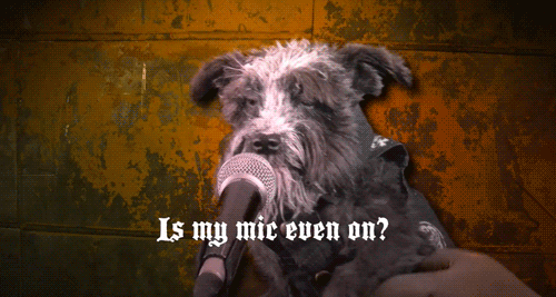 metal dog national day