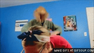 prank hollywood hard