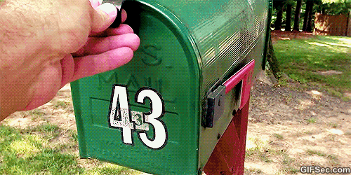 puppy gif happy tag deliver to me