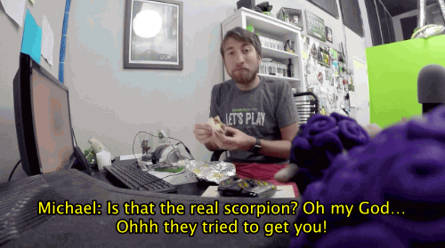 lunch gavin free scorpion