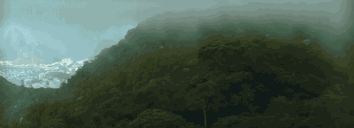 football soccer futbol