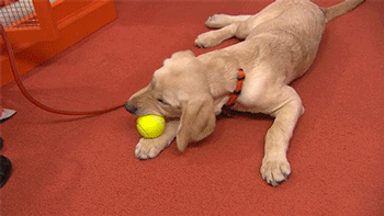 magic ipad simon pierro