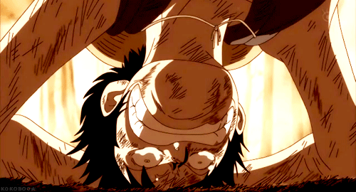 279 One Piece Gifs - Gif Abyss