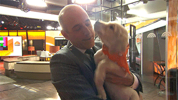 puppy wrangler today