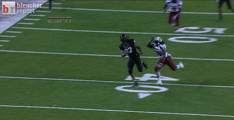 football season report