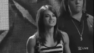 wwe hulk hogan paige