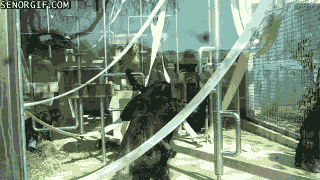 cheezburger video games