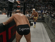 hulk hogan wcw big show