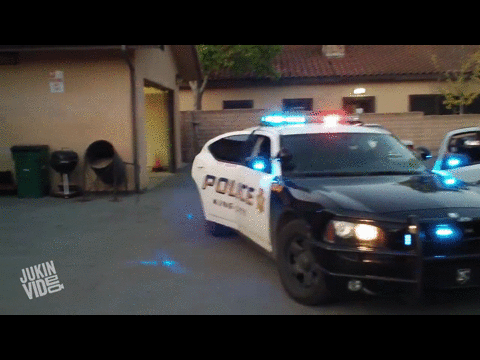 puppy training minipolice