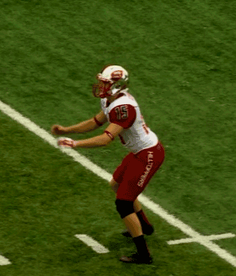 animated football illini