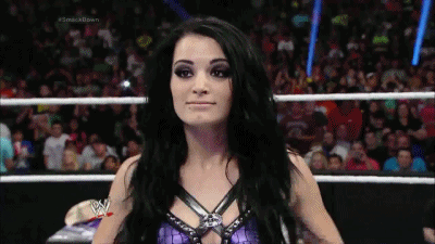 daniel bryan feature gigi