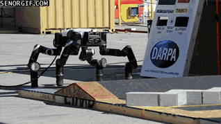 cheezburger mindwarp