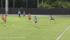 football soccer futbol