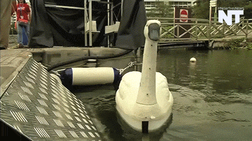 nowthisnews robot robots innovations