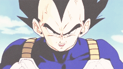 dragon ball z dbz vegeta