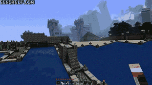 cheezburger video games wtf acid