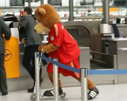 football soccer champions league