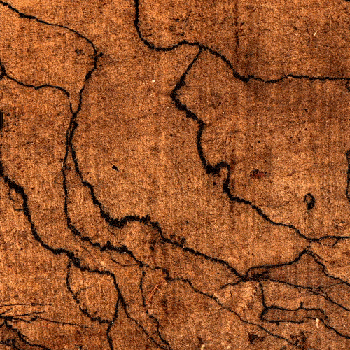 wakest art animation artists on tumblr