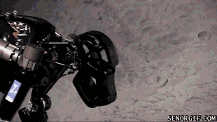 cheezburger funny win