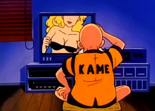 dragon ball z master roshi maestro