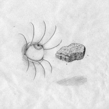 mirandapfeiffer art miranda pfeiffer