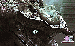 shadow of the colossus sotc